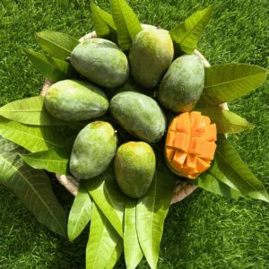taimour mango 4 kg